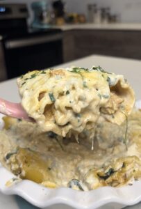Chicken Alfredo Lasagna Roll Ups